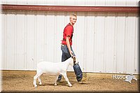LCFAIR15-4972.jpg