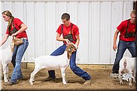 LCFAIR15-4973.jpg