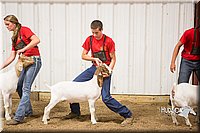 LCFAIR15-4974.jpg