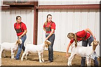 LCFAIR15-4975.jpg