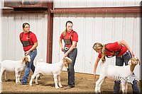 LCFAIR15-4976.jpg