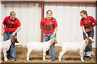 LCFAIR15-4977.jpg