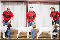 LCFAIR15-4978.jpg