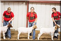 LCFAIR15-4979.jpg
