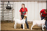 LCFAIR15-4980.jpg