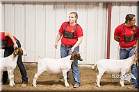 LCFAIR15-4982.jpg