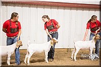 LCFAIR15-4983.jpg
