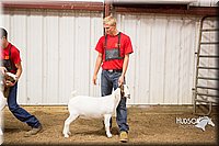 LCFAIR15-4984.jpg