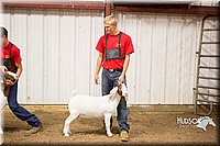 LCFAIR15-4985.jpg