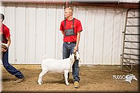LCFAIR15-4986.jpg
