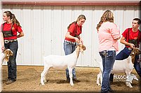 LCFAIR15-4989.jpg