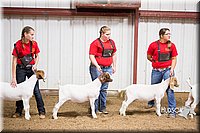 LCFAIR15-4991.jpg