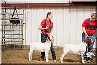 LCFAIR15-4992.jpg