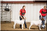 LCFAIR15-4993.jpg