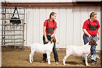 LCFAIR15-4994.jpg