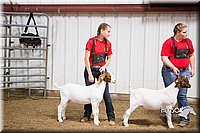 LCFAIR15-4995.jpg