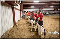 LCFAIR15-4996.jpg
