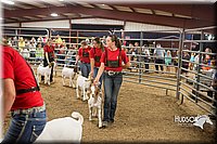 LCFAIR15-5006.jpg