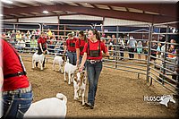 LCFAIR15-5007.jpg