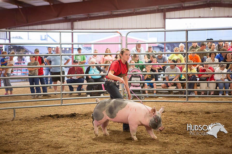 LCFAIR15-4646-2.jpg