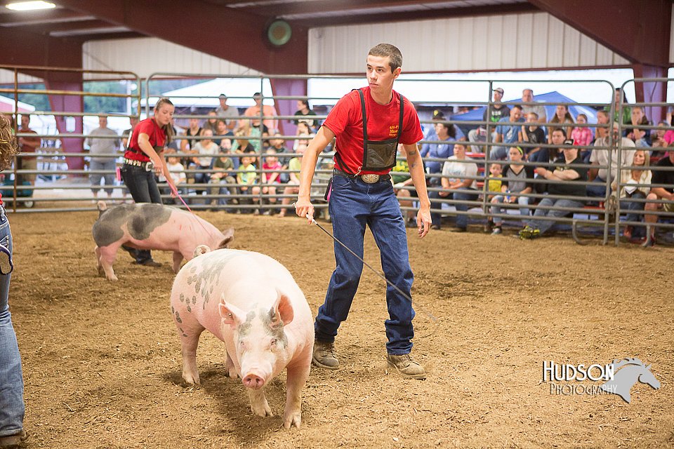LCFAIR15-4660-2.jpg