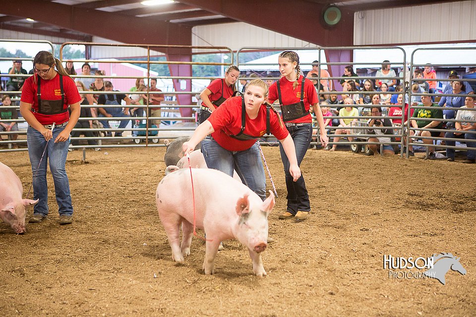 LCFAIR15-4663-2.jpg