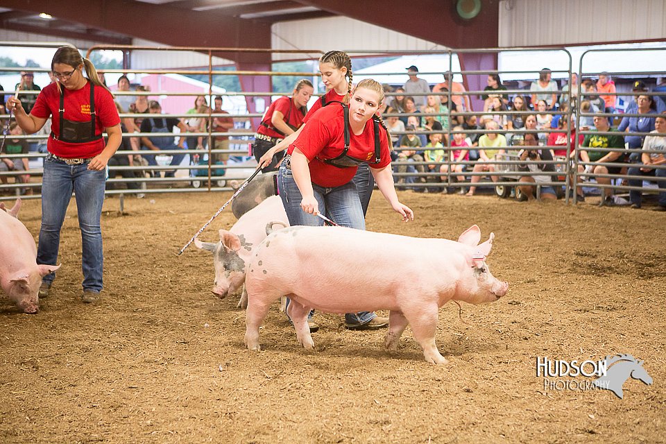 LCFAIR15-4664-2.jpg