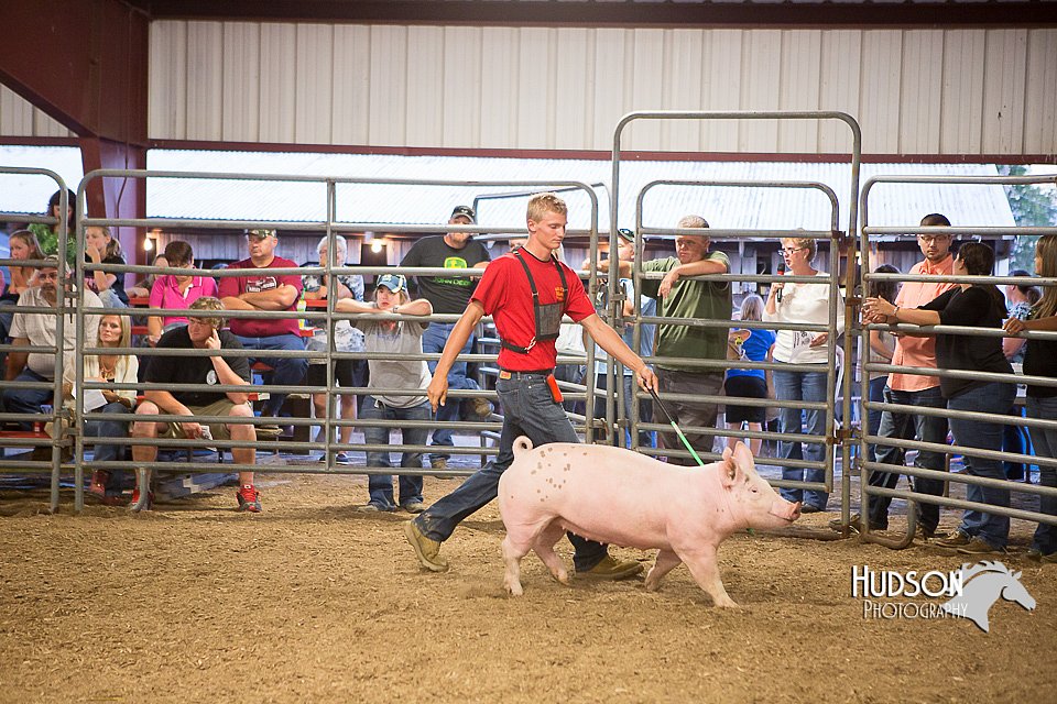 LCFAIR15-4674-2.jpg