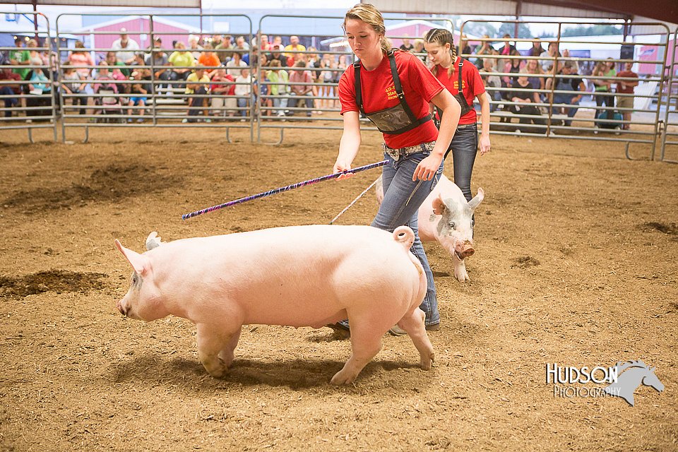 LCFAIR15-4699-2.jpg
