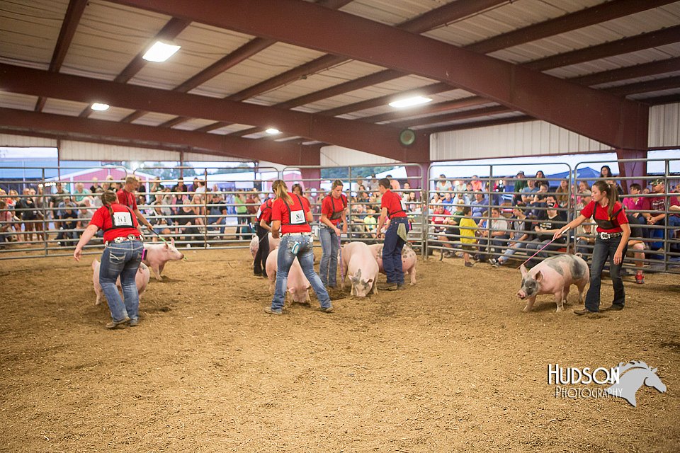 LCFAIR15-4706.jpg