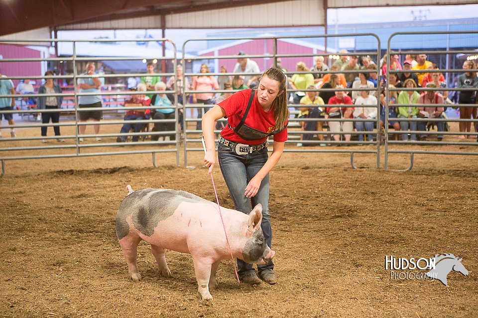 LCFAIR15-4715.jpg