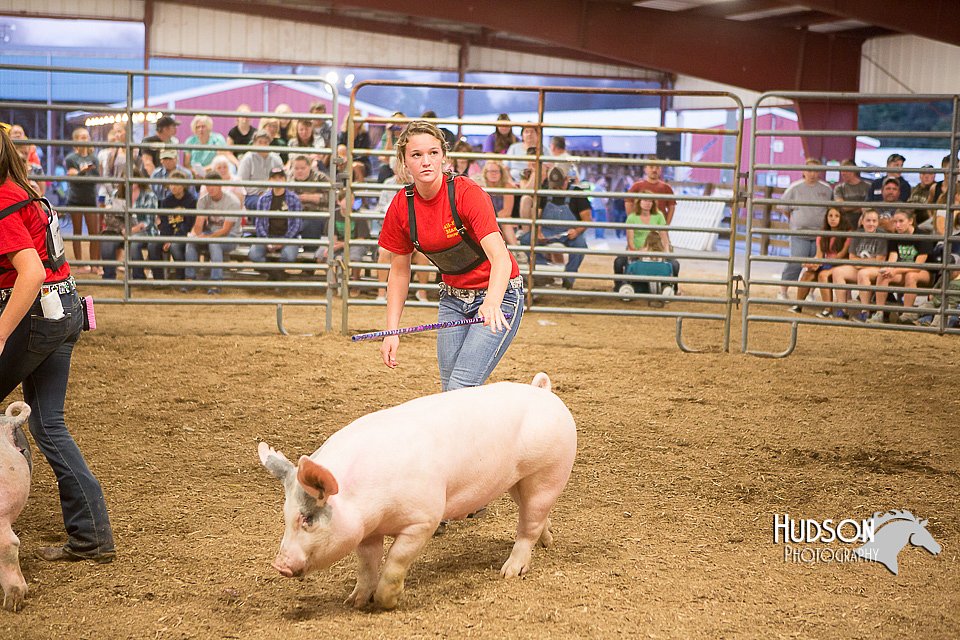 LCFAIR15-4722.jpg