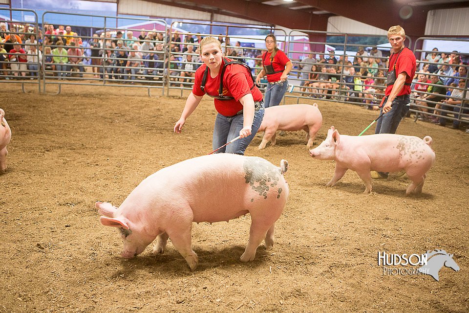 LCFAIR15-4725.jpg