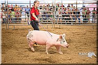 LCFAIR15-4640-2.jpg