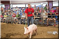 LCFAIR15-4645-2.jpg