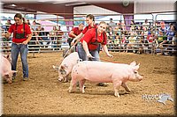 LCFAIR15-4665-2.jpg