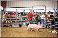 LCFAIR15-4675-2.jpg