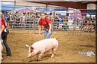 LCFAIR15-4722.jpg