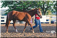 LCFAIR15-4486.jpg