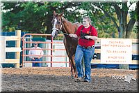 LCFAIR15-4489.jpg