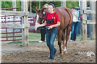 LCFAIR15-4520.jpg