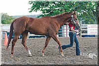 LCFAIR15-4534.jpg