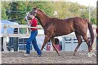 LCFAIR15-4553.jpg