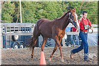 LCFAIR15-4558.jpg