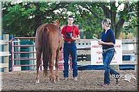 LCFAIR15-4562.jpg