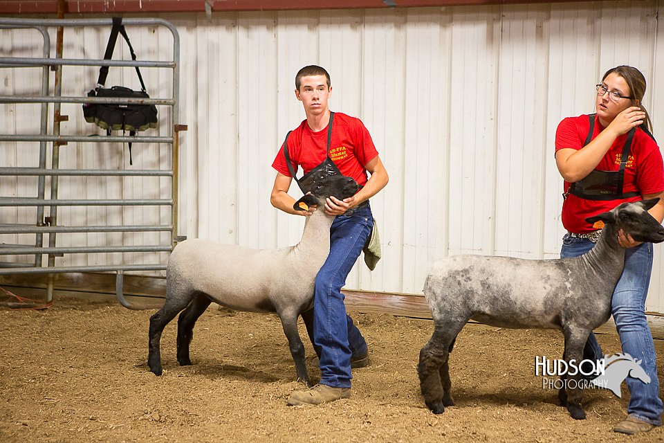 LCFAIR15-4855.jpg