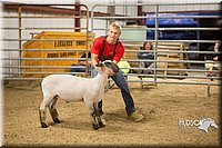LCFAIR15-4803.jpg