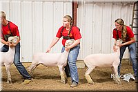 LCFAIR15-4846.jpg