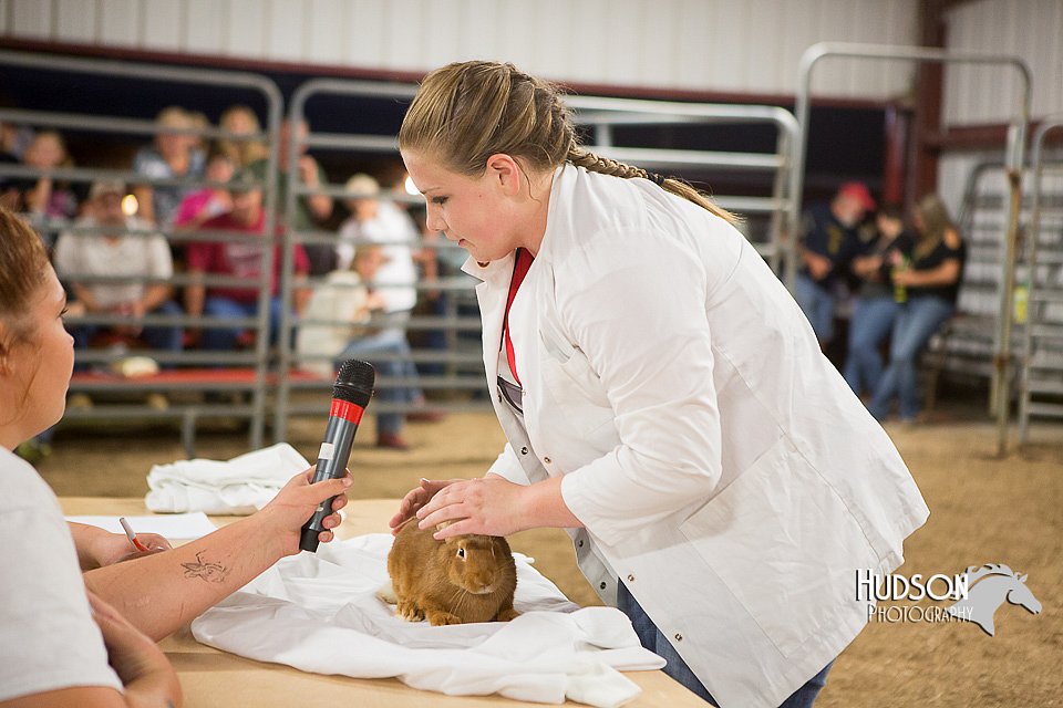 LCFAIR15-4865.jpg