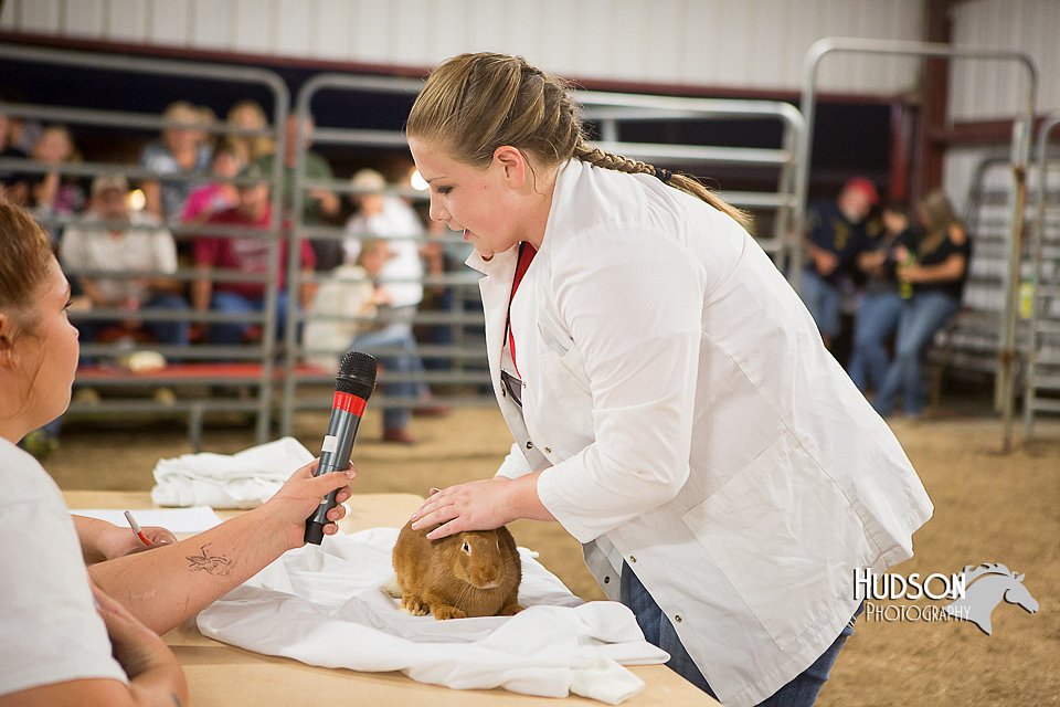LCFAIR15-4866.jpg